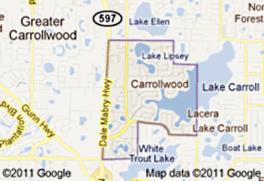 Carrollwood dumpster rentals