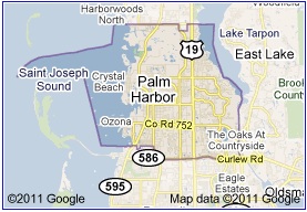 Palm Harbor Junk Removal Service